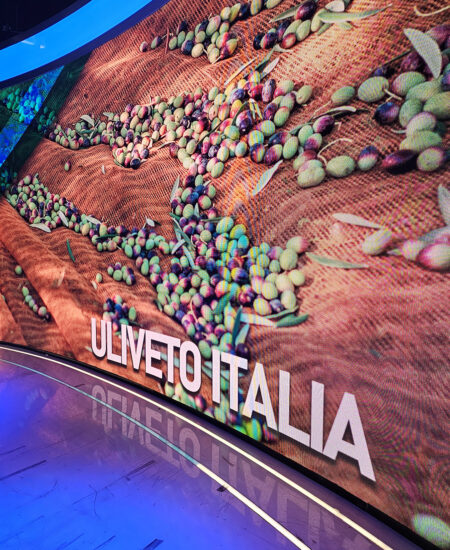 Il Presidente Tommaso Loiodice ospite negli studi di Saxa Rubra a Casa Italia in onda su Rai Italia-1